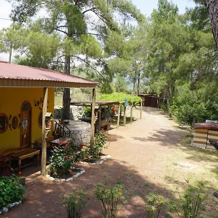فندق Olympos Tanrilar Kulubu